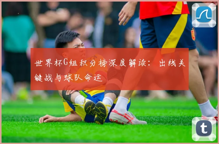 世界杯G组积分榜深度解读:出线关键战与球队命运